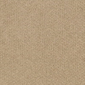 8 in. x 8 in. Pattern Carpet Sample - Katama II -Color Carved Wood