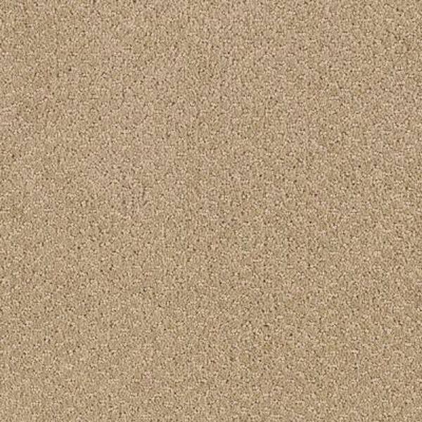 Lifeproof 8 in. x 8 in. Pattern Carpet Sample - Katama II -Color Carved Wood