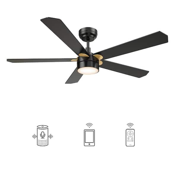 CARRO Granby 52 in. Integrated LED Indoor/Outdoor Black Smart Ceiling Fan with Light and Remote, Works with Alexa/Google Home