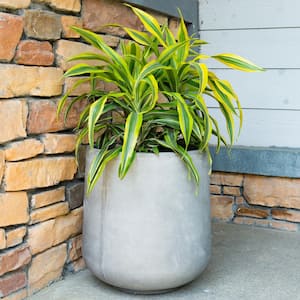 Medium 13 in. x 13 in. x 13.4 in. Light Gray Lightweight Concrete Footed Tulip Planter