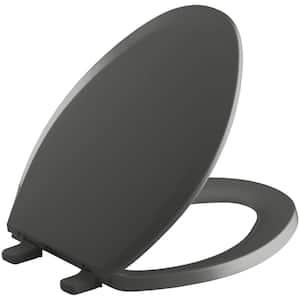 Lustra Elongated Closed-Front Toilet Seat in Thunder Grey