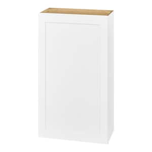 Avondale 24 in. W x 12 in. D x 42 in. H Ready to Assemble Plywood Shaker Wall Kitchen Cabinet in Alpine White