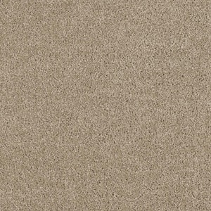 Moonlight  - Stroll - Beige 32 oz. SD Polyester Texture Installed Carpet