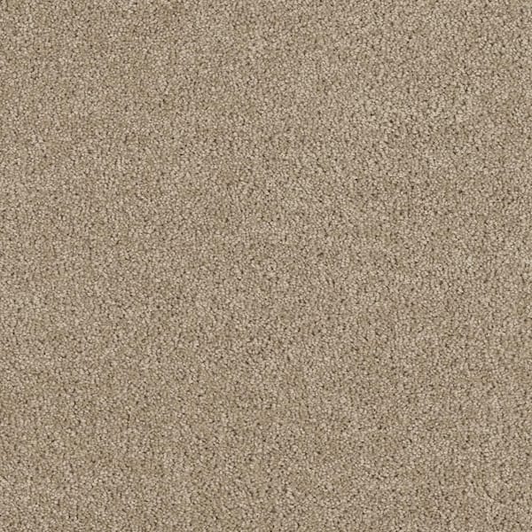 Moonlight - Stroll - Beige 32 oz. SD Polyester Texture Carpet - Installation Required