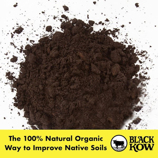 Black Kow 8 qt. Nitrogen Phosphate Composted Cow Manure Plant
