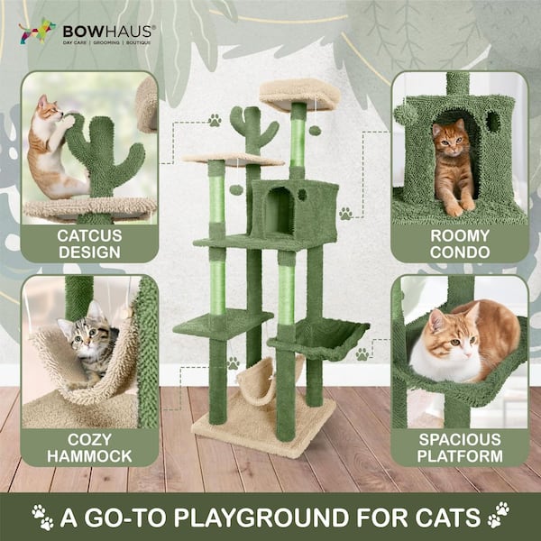 BOWHAUS 70 in. Cactus Cat Tower for Indoor Cats, Cute Small Cactus Cat Tree  with Widened Perch PHFC-BH672002-GR