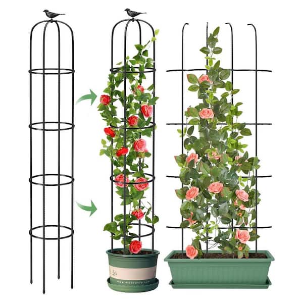Oyezvary 73.6 in. Rustproof Metal Garden Trellis Obelisk Climbing Plant Support for Indoor Outdoor Flowers Vegetables Vines