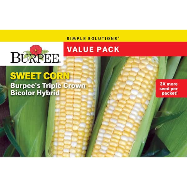 Corn Sunny Days Value Pack Seed