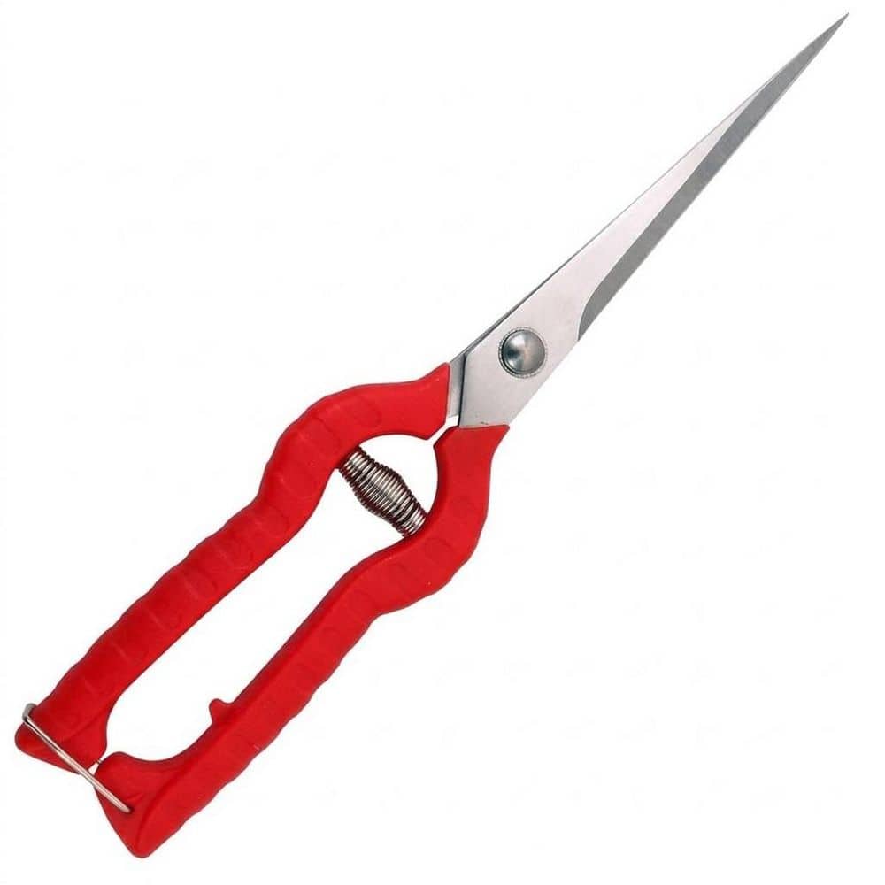Pruning Shears Stainless Steel Blade Extra Long Edge Sharp Garden Scissors for Fruit Trees Bonsai price history on PriceWatchPro