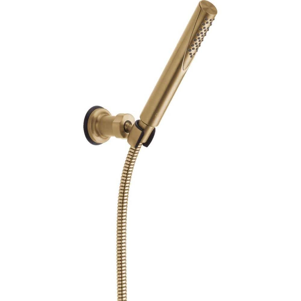 Champagne Bronze Adjustable Handheld Rain Shower with Filter