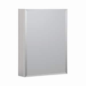 20 in. W x 26 in. H Satin Aluminum Recessed/Surface MountBathroom Medicine Cabinet with Mirror, 2-Glass shelves