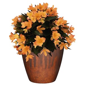 Vogue 8 in. Burnished Rust Resin Planter
