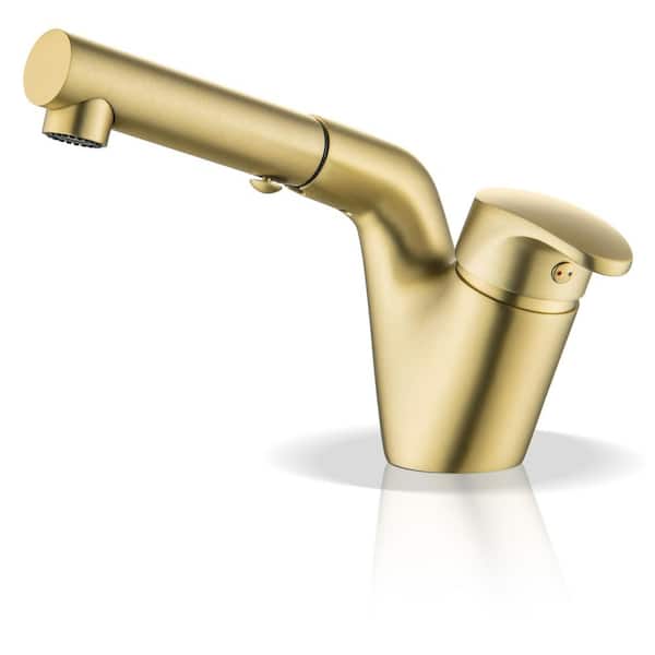 Single Hole Single-Handle Bathroom Faucet with Pull-Down Sprayer in Brushed Gold