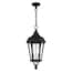 Livex Lighting Morgan 3 Light Textured Black Outdoor Pendant Lantern ...