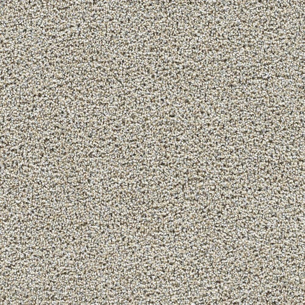 8 in. x 8 in. Texture Carpet Sample-Easel-Color Artwork price history on PriceWatchPro