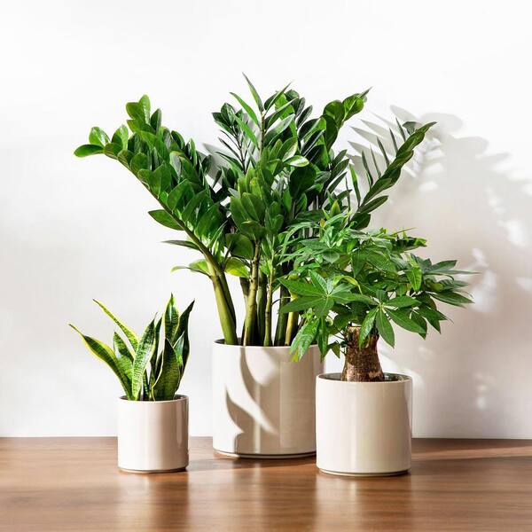 6.25/8.25/10.25 In Gray Ceramic Round Planter Set (3-Pack