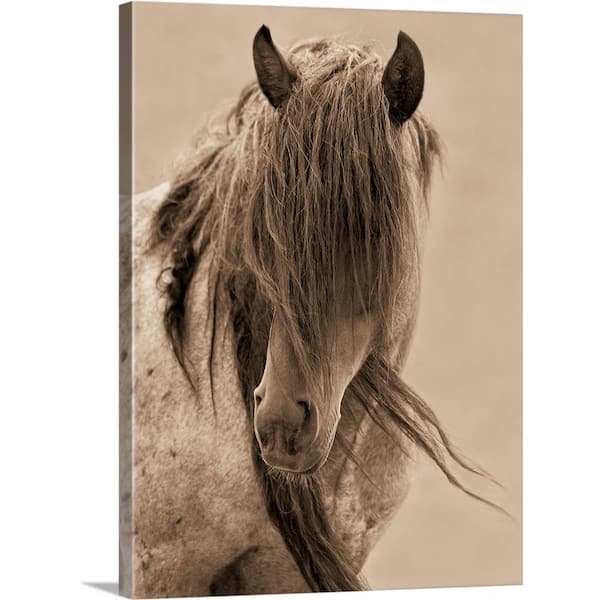 "Freedom" by Lisa Dearing Canvas Wall Art