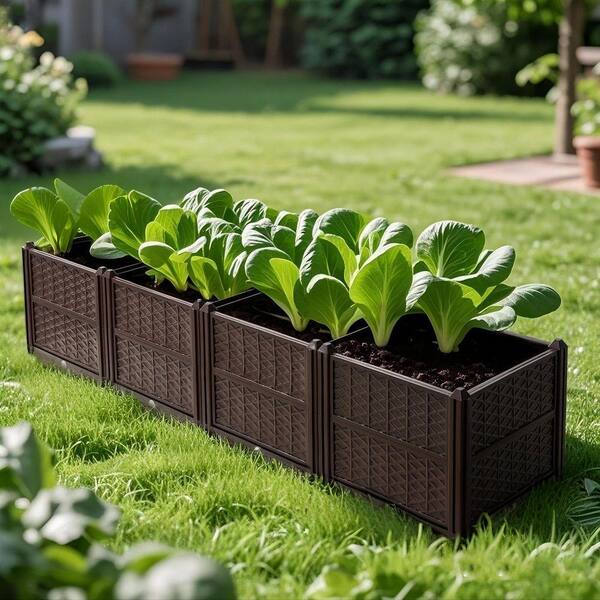 Zeus & Ruta 62.8 in. L Coffee Plastic Material Rectangle Indoor