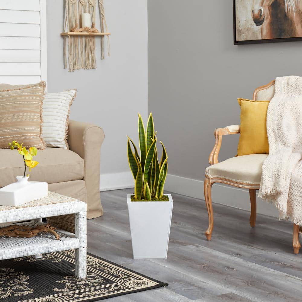 31-Inch Artificial Snake Plant in White Metal Planter