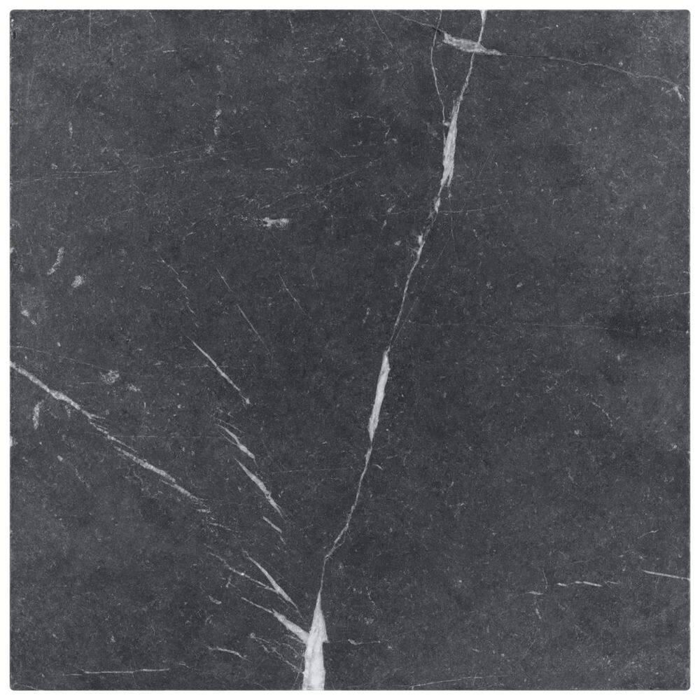 Heritage Nero Marquina 6 in. x 0.37 in. Tumbled Marble Floor and Wall Tile Sample price history on PriceWatchPro