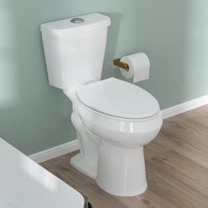 21 in. Tall 2-Piece 1.1/1.6 GPF Dual Flush Map Flush 1000g Elongated 2-Piece Toilet in White Soft Close Seat I