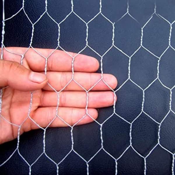 50mm Galvanised Steel Chicken Wire Fencing Mesh - The Mesh Company