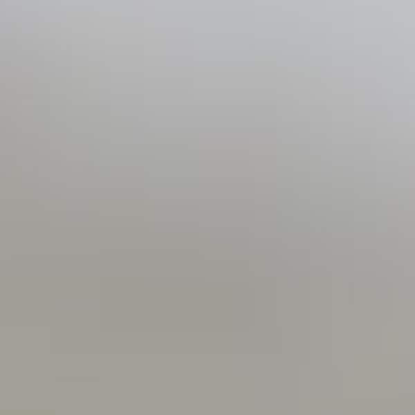 Elston 1-Light Brushed Aluminum LED Outdoor Wall Lantern Sconce with Acrylic Shade