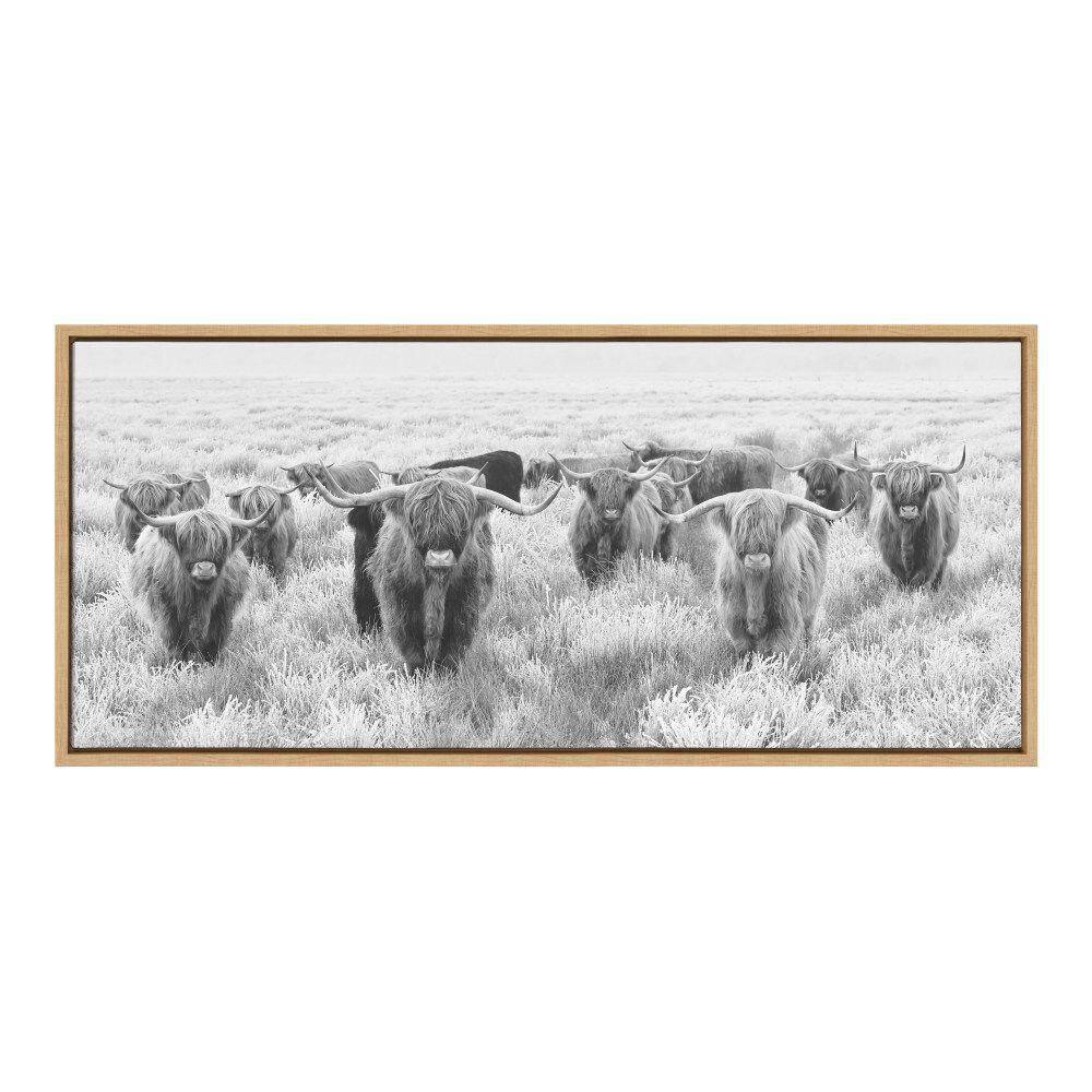 Herd of Highland Cows Black and White Canvas Print with Natural Frame