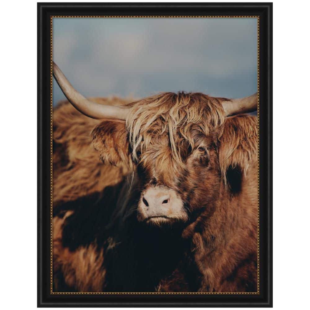 "Manhattan ""Highland Cow No. 5"" by Laura Evans Animals Framed Art Print 44 in. x 34 in." price history on PriceWatchPro