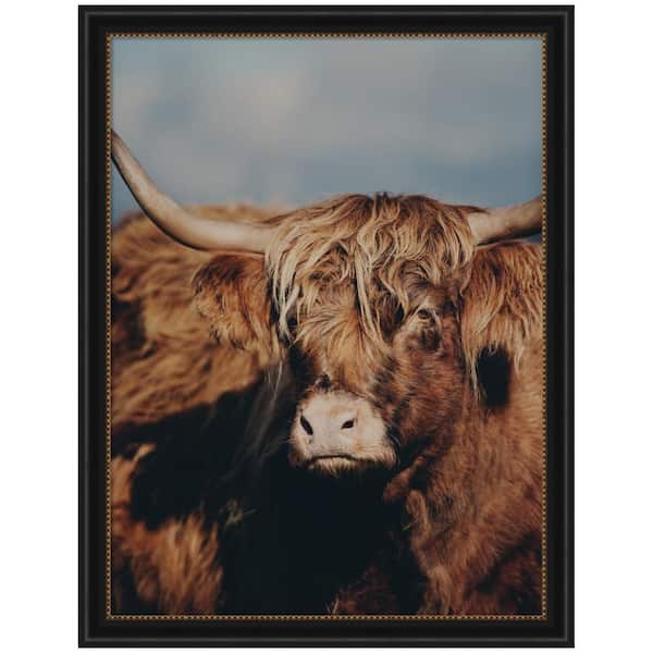 Manhattan "Highland Cow No. 5" by Laura Evans Animals Framed Art Print 44 in. x 34 in.
