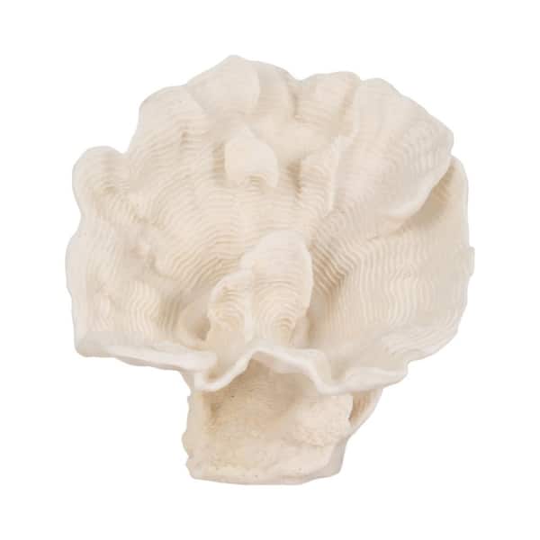 Liv & Skye Ivory 11 in. x 12 in.  Resin Coral Fan Figurine