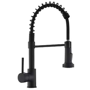 Single-Handle Pull-Down Sprayer Kitchen Faucet with 2-Function Sprayer in Matte Black