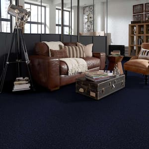Palmdale I - Dock Side - Blue 17.6 oz. Polyester Texture Installed Carpet