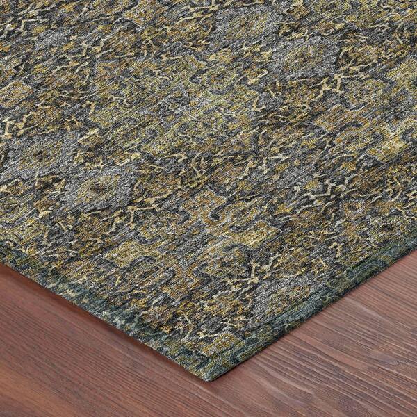 Chantille Machine Washable Indoor/Outdoor Abstract ACN2705 Black 3 ft. x 4 ft. Area Rug
