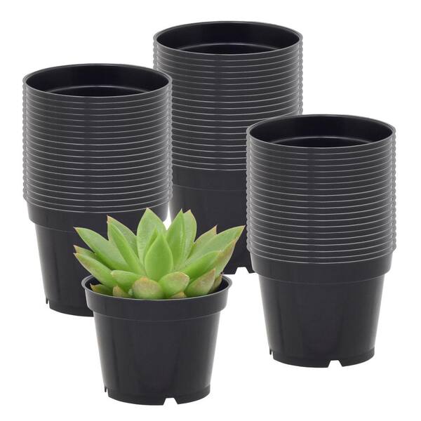 Arcadia Garden Products 2 in. Black Plastic Standard Grow Pot (250-Pack)