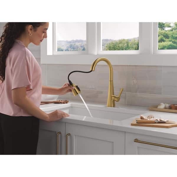 Lenta Brushed Gold 16.25 in. H Pull Down Sprayer Kitchen Faucet with 360° Spout Swivel