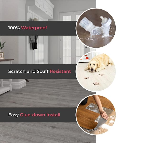 Lucida USA Gluecore Harbor Gray 22-mil x 7-3/32-in W x 48-in L Glue Down  Luxury Vinyl Plank Flooring (39-sq ft/ Carton) in the Vinyl Plank  department at