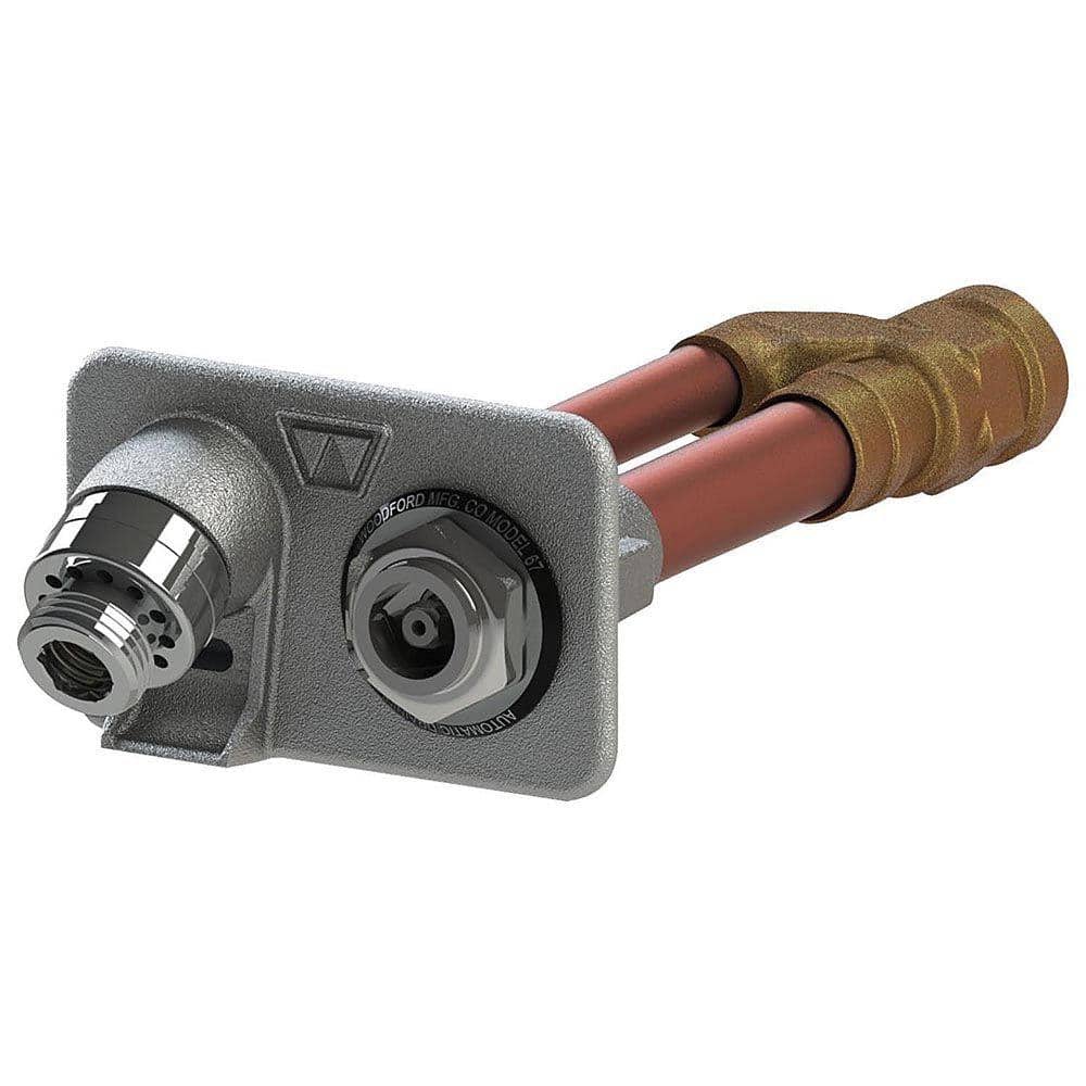 Woodford 3/4 in. FPT x 8 in. Freezeless Anti-Siphon Wall Hydrant 65P-8 ...