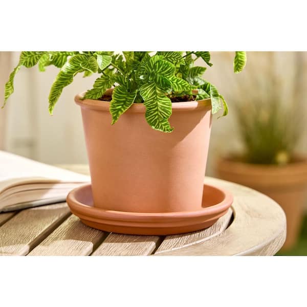 6 in. W x 1 in. W Small Orange Terracotta Plant Saucer