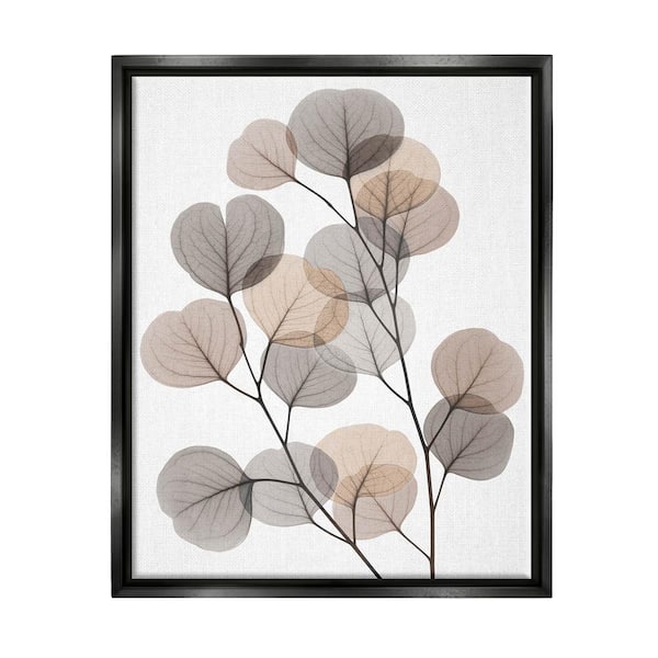 The Stupell Home Decor Collection Modern Eucalyptus Leaf Stems Translucent Leaves by Albert Koetsier Floater Frame Nature Wall Art Print 21 in. x 17 in.