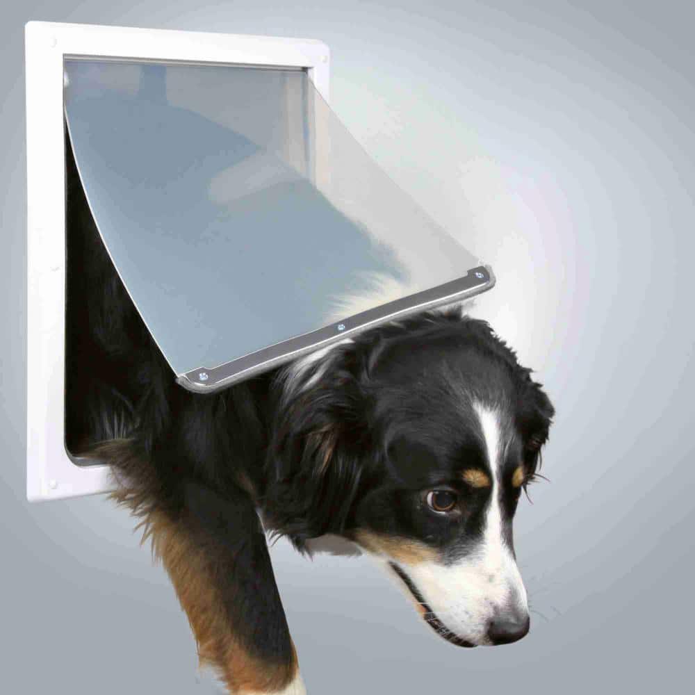 Medium White Metal Lockable Dog Door with Flap