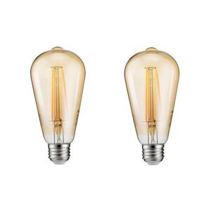 40-Watt Equivalent ST19 Dimmable Indoor/Outdoor Vintage Glass Edison LED Light Bulb Amber Warm White (2000K) (2-Pack)