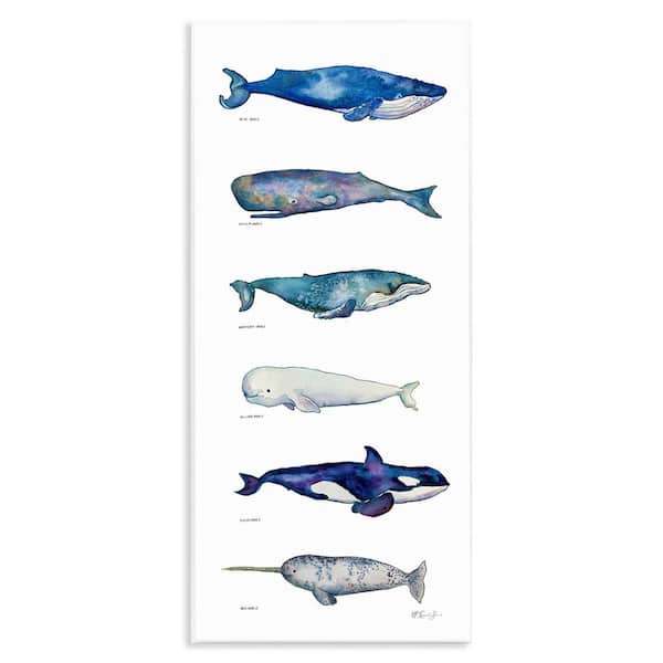 Maritime Sea Life Chart by MB Cunningham Unframed Graphic Art Print Animal 7 in. x 17 in.