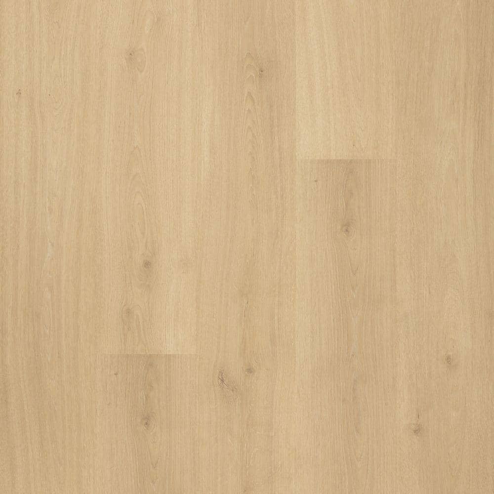 Pergo Take Home Sample - Sandy Cove Oak Laminate Flooring -5 in. x 7 in., Medium