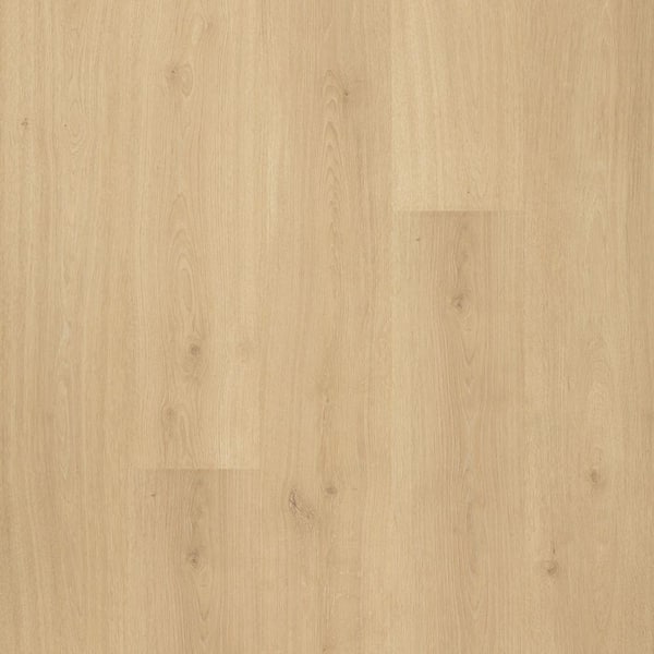 Pergo Take Home Sample - Sandy Cove Oak Laminate Flooring -5 in. x 7 in.