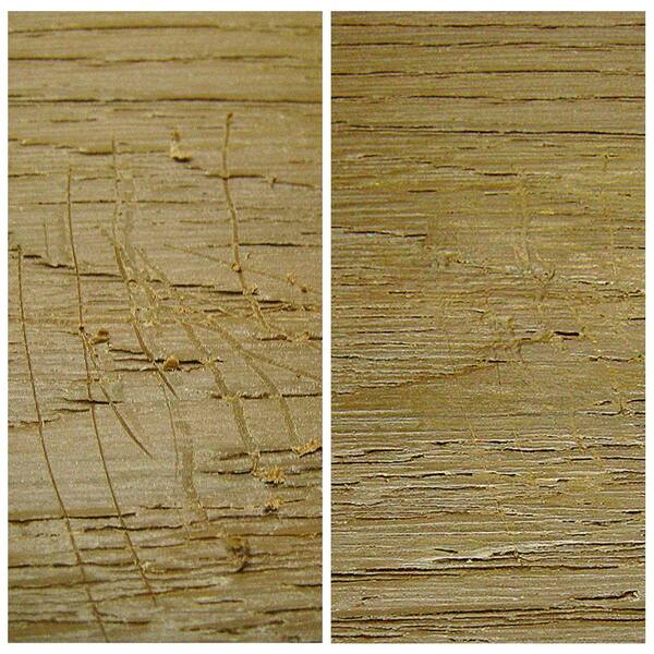 NewTechWood DeScratch Composite Decking Repair Kit in Brazilian Ipe