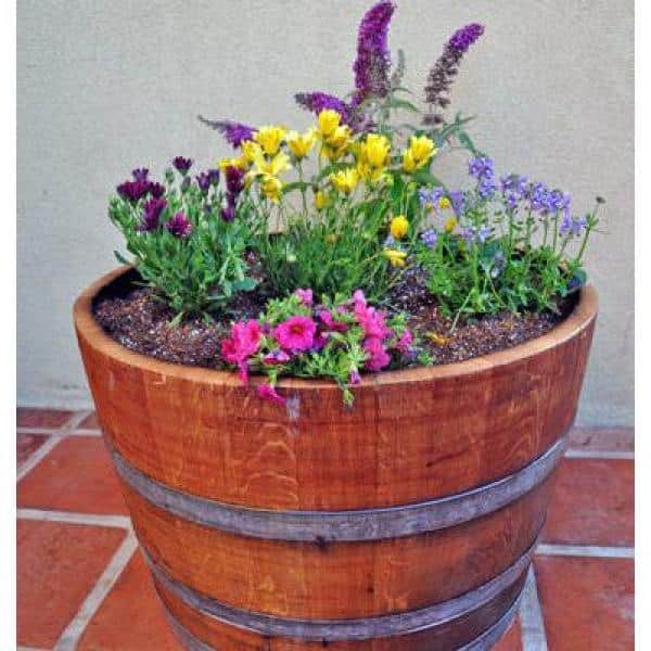 Lacquer 27 in. W x 16 in. H Half Oak Wine Barrel Planter