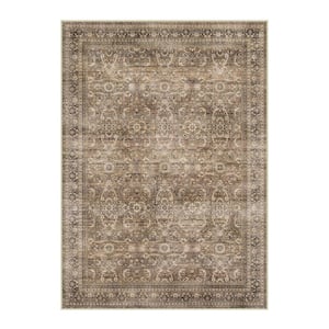 HaiiMeid Phuket Island Red 9 ft. x 12 ft. Distressed Vintage