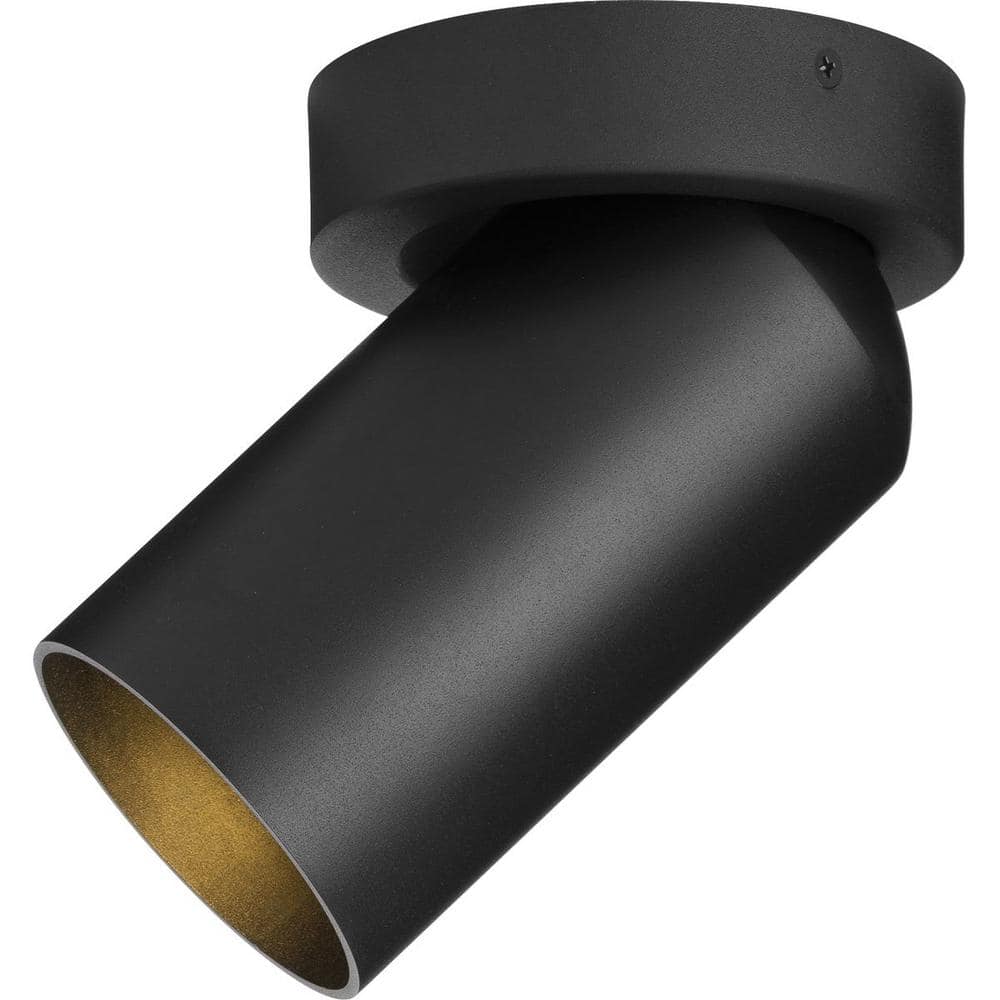 Black Aluminum Indoor/Outdoor Adjustable Cylinder Light