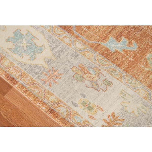 Bohemian 6 ft. X 8 ft. Orange Border, Floral, Oriental Area Rug